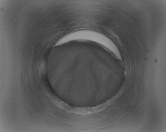 X0000081340029200702020100