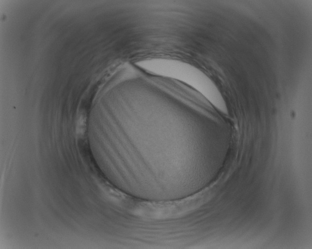 X0000081340033200702020100
