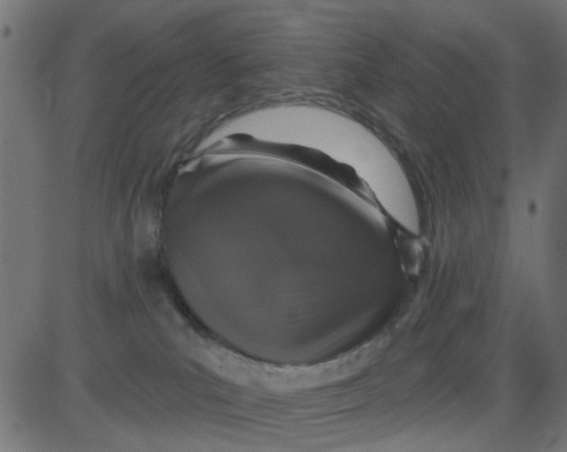 X0000081340039200702020100