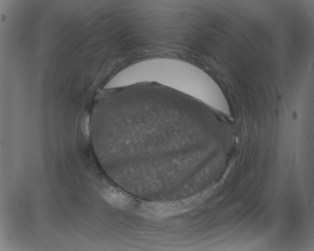 X0000081340041200702020100
