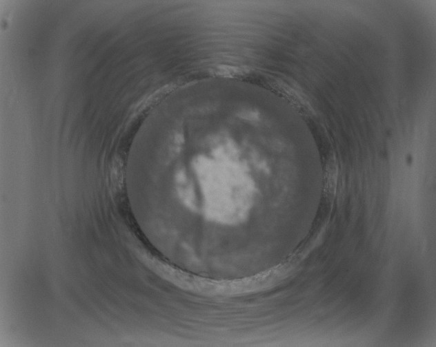 X0000081340043200702020100