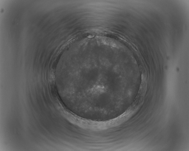 X0000081340048200702020100