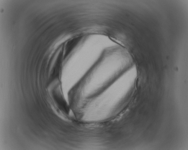 X0000081340050200702020059