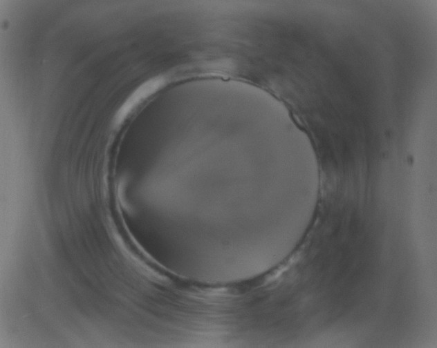 X0000081340054200702020059