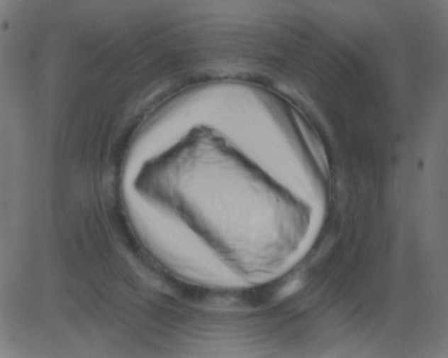 X0000081340066200702020100
