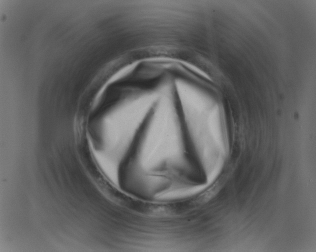 X0000081340070200702020100
