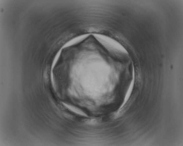 X0000081340074200702020100