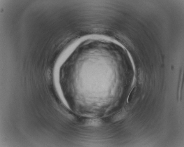 X0000081340077200702020100