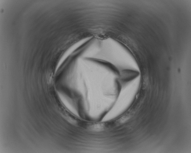 X0000081340081200702020100