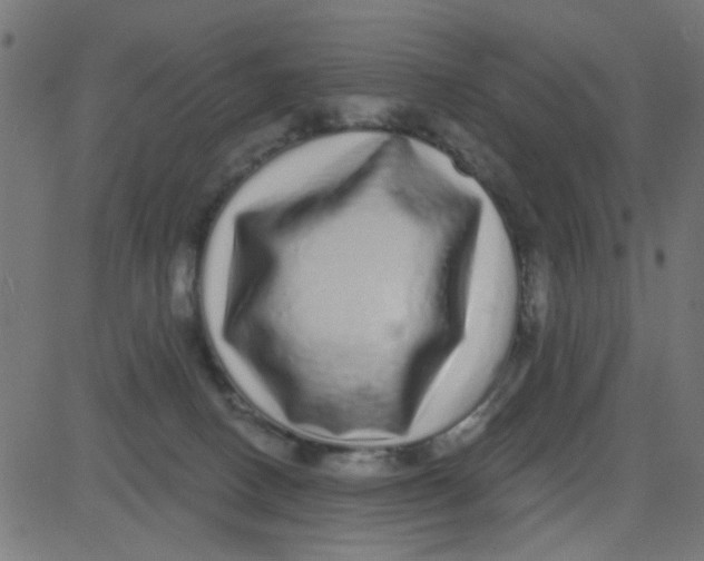 X0000081340082200702020100