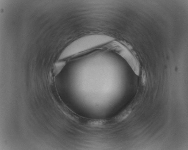 X0000081340084200702020100