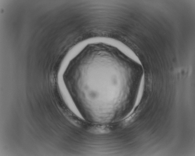 X0000081340086200702020100