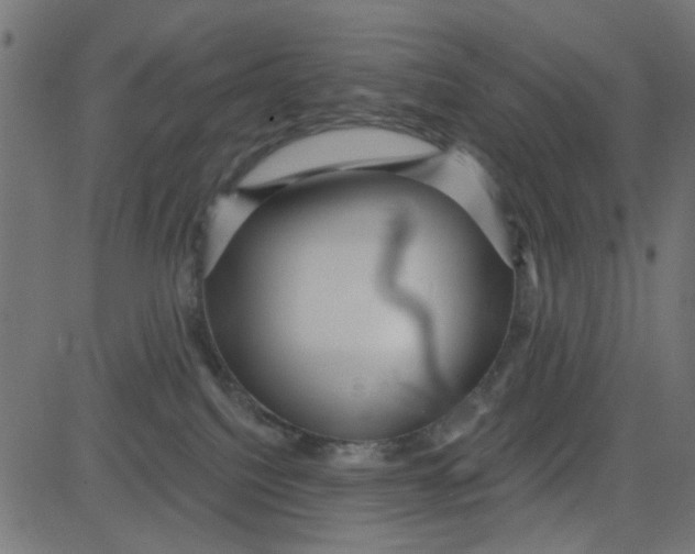 X0000081340088200702020100