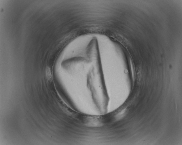 X0000081340089200702020100