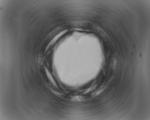 X0000081340091200702020100