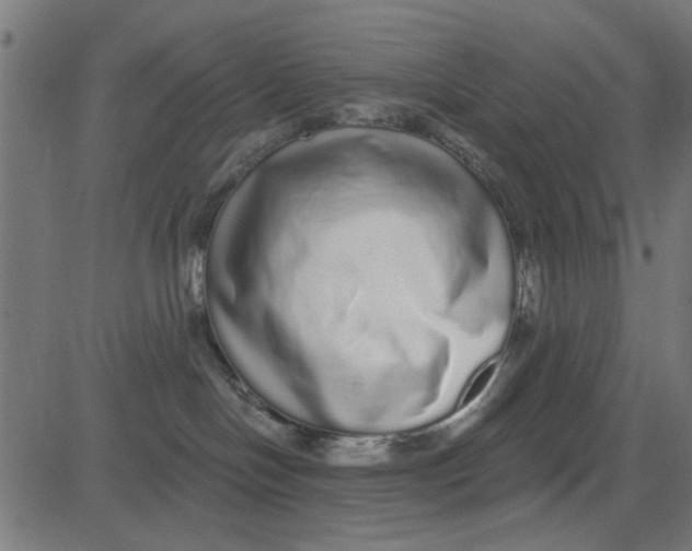 X0000081340094200702020100
