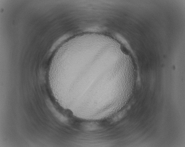 X0000081340106200702020059