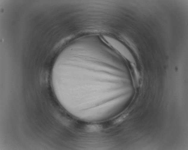 X0000081340115200702020059