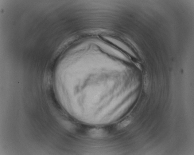 X0000081340119200702020059