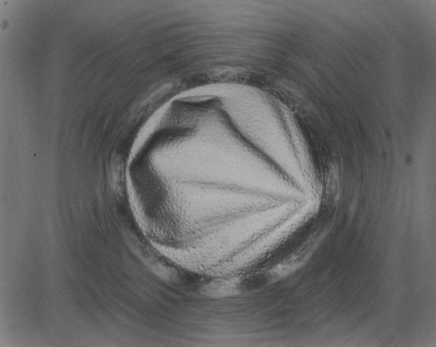 X0000081340138200702020059