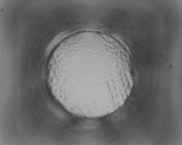 X0000081340151200702020058