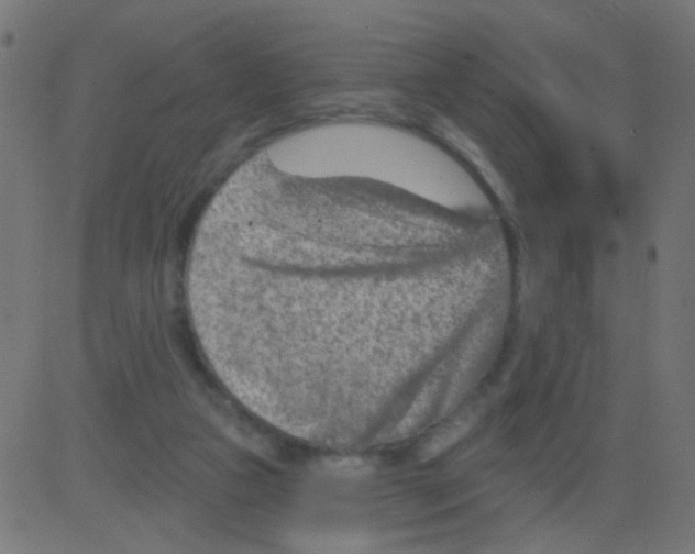 X0000081340161200702020058