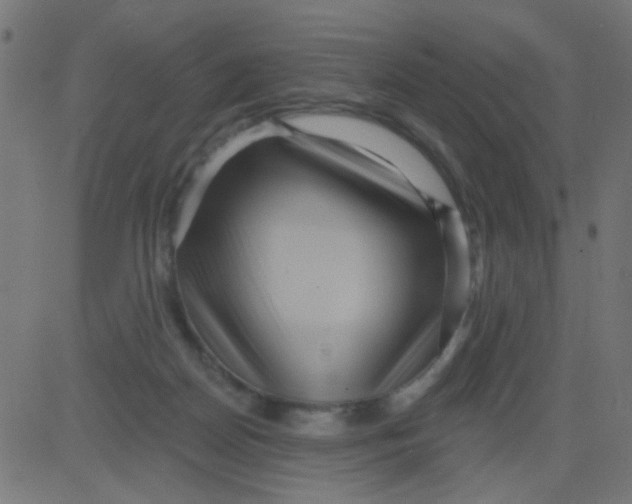 X0000081340170200702020058