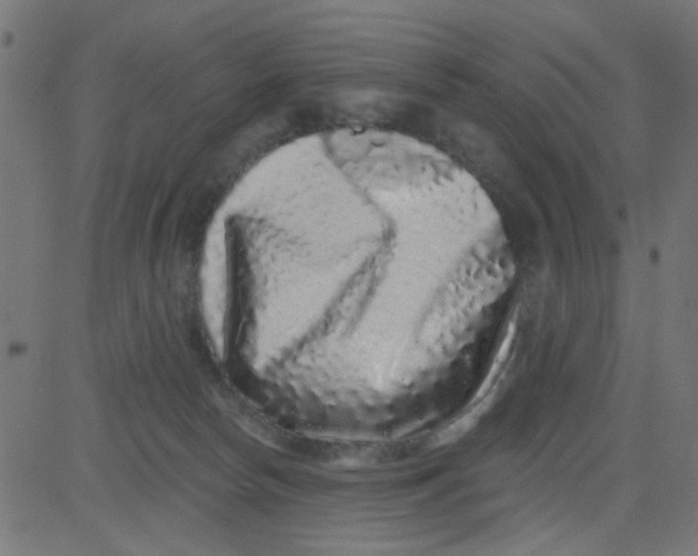 X0000081340178200702020058