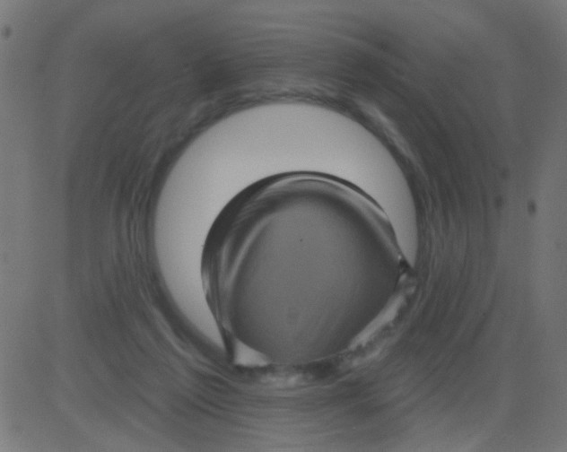 X0000081340213200702020057