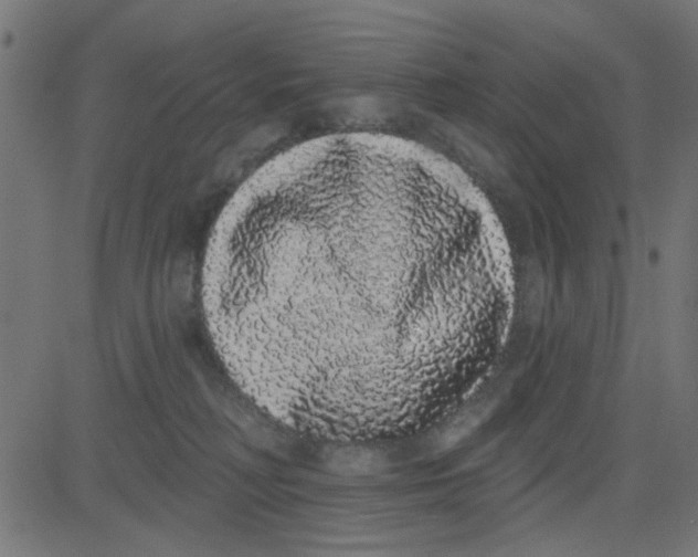 X0000081340230200702020057