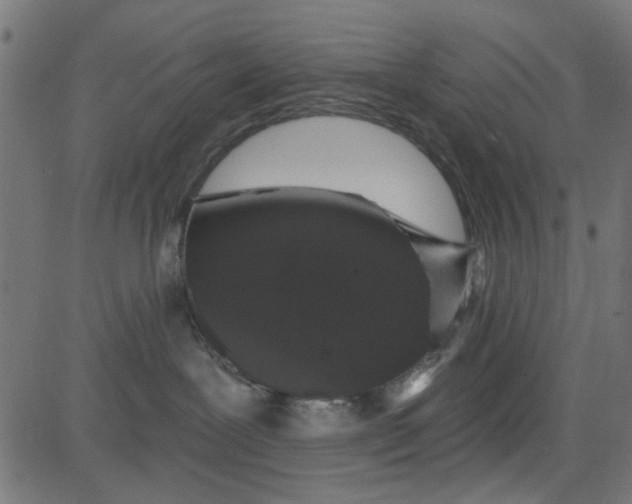 X0000081340239200702020057