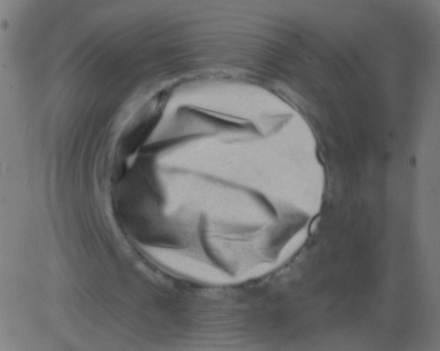 X0000081340241200702020056
