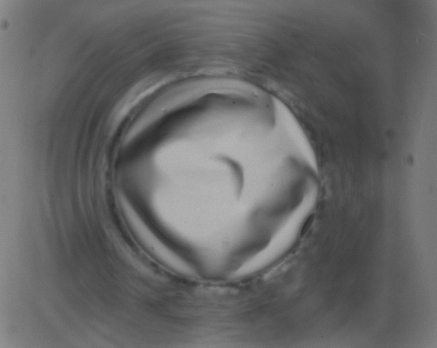 X0000081340242200702020056