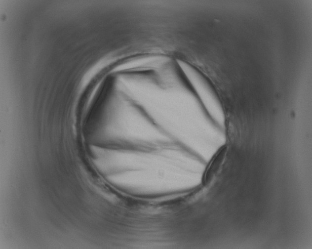 X0000081340246200702020056