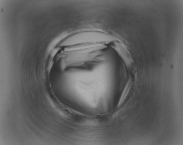 X0000081340248200702020056