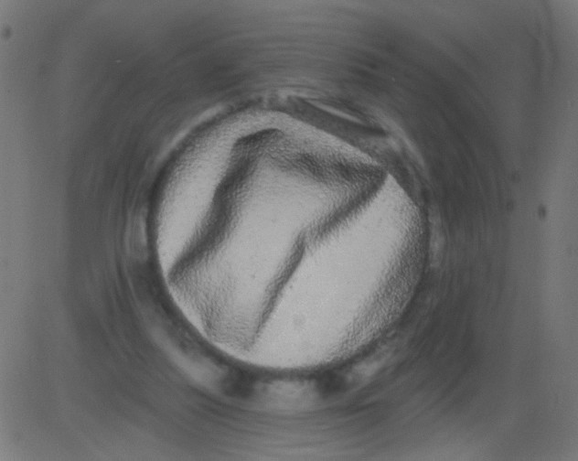X0000081340251200702020056