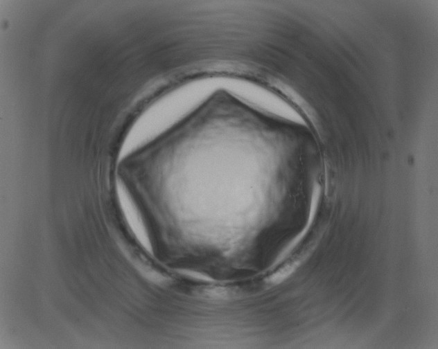 X0000081340253200702020056