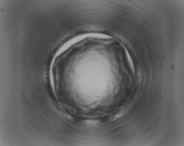 X0000081340255200702020056