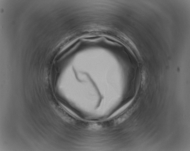 X0000081340257200702020056