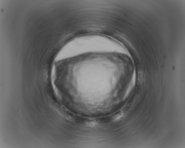 X0000081340259200702020056