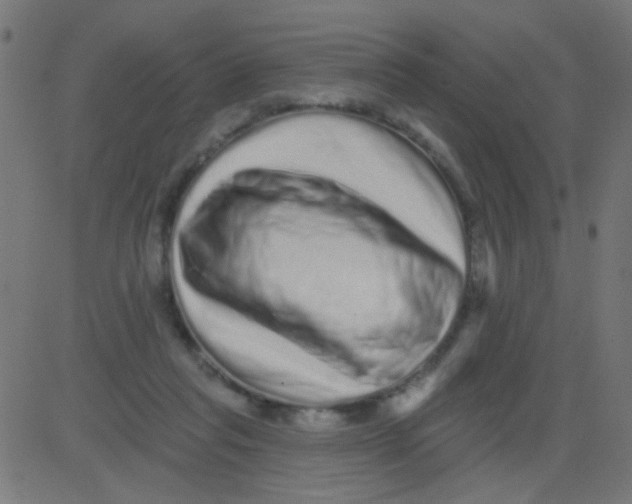X0000081340261200702020057