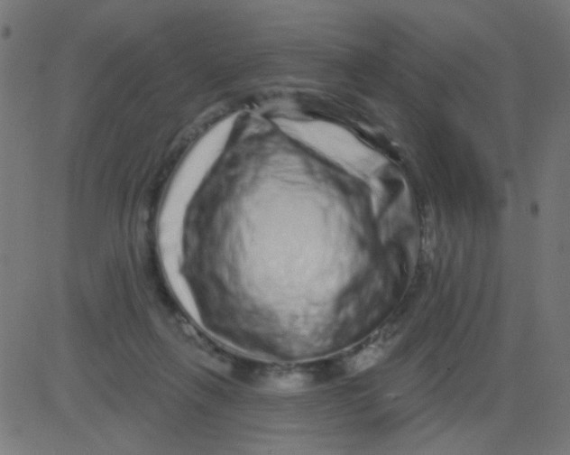 X0000081340263200702020057