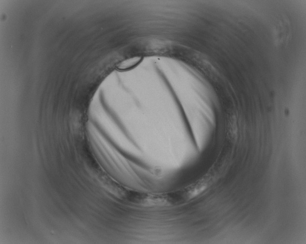 X0000081340270200702020057