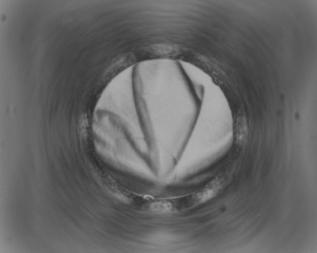 X0000081340279200702020057