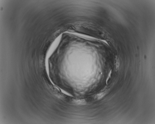 X0000081340283200702020057