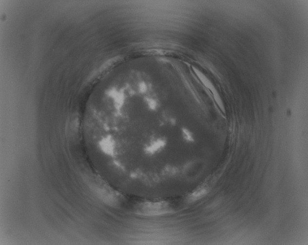 X0000081340314200702020056