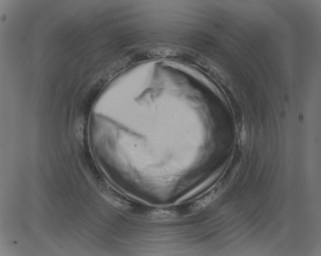 X0000081340315200702020056