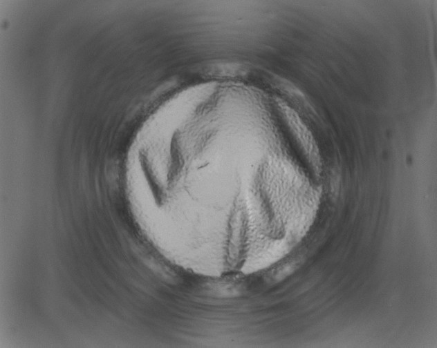 X0000081340326200702020056