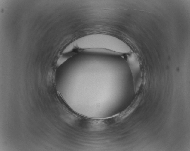 X0000081340333200702020055