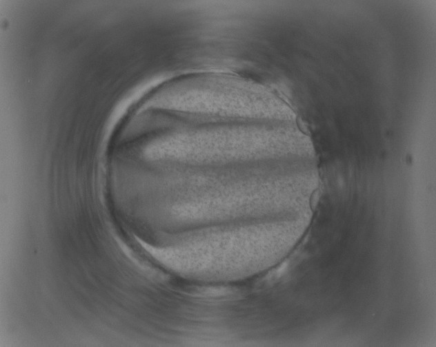 X0000081340342200702020055
